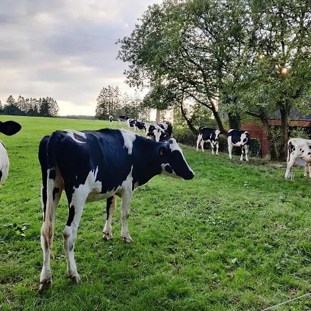 Vakantiehuis Ogite Jalhay