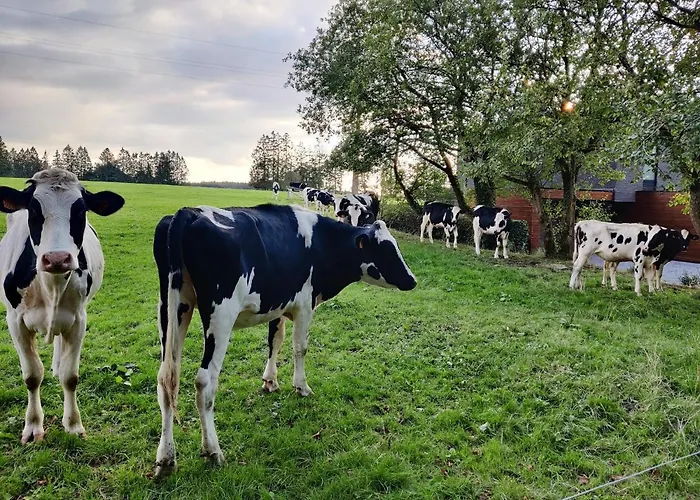 Holiday home Ogite Jalhay